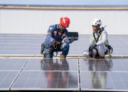 Di Balik Transisi Energi, Nikel Obi Diuji oleh Standar ESG Global