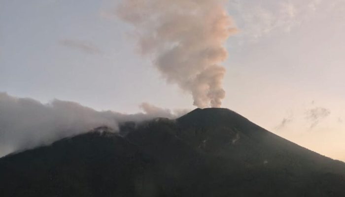 ​Gunung Gamalama Berstatus Waspada Level II, Asap Kawah Teramati Setinggi 500 Meter