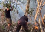 Lahan Perkebunan di Wayabula Terbakar, Personel Polsek Morotai Selatan Barat Bersama Warga Padamkan Api