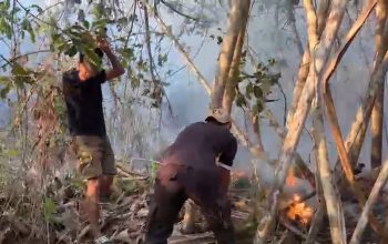 Lahan Perkebunan di Wayabula Terbakar, Personel Polsek Morotai Selatan Barat Bersama Warga Padamkan Api