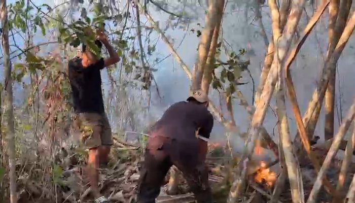Lahan Perkebunan di Wayabula Terbakar, Personel Polsek Morotai Selatan Barat Bersama Warga Padamkan Api