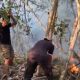 Lahan Perkebunan di Wayabula Terbakar, Personel Polsek Morotai Selatan Barat Bersama Warga Padamkan Api
